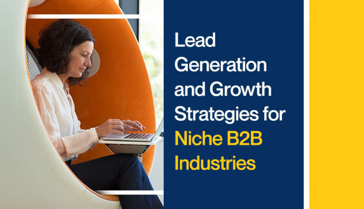 Lead Generation and Growth Strategies for Niche B2B Industries